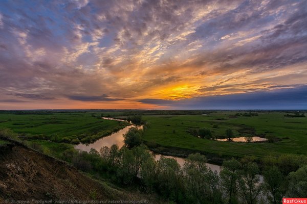 Природа Тамбовского края