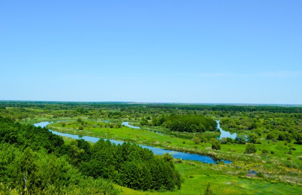Луга Тамбовской области
