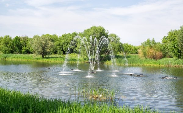 Родина Тамбов природа
