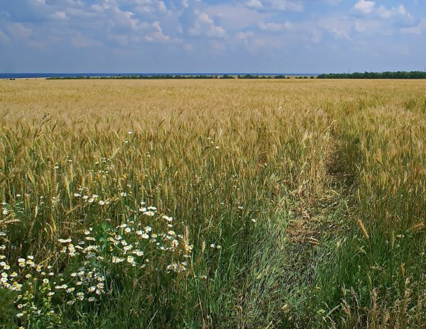 Паревка Барская гора