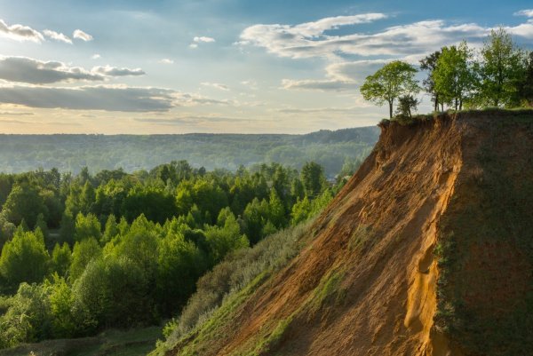 Река Цна Тамбовской области