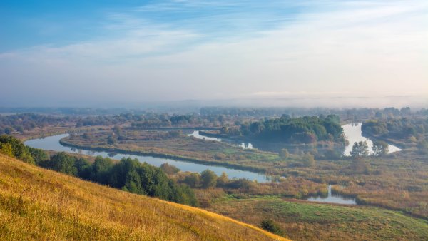 Тамбовская область Инжавинский район природа лето