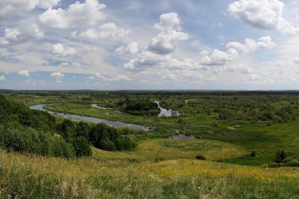 Цна река в Тамбовской