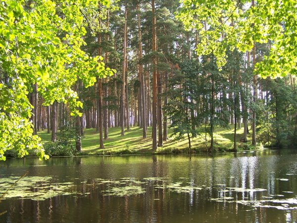 Река Матыра