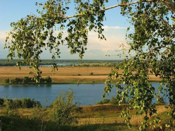 Есенинская Русь Есенин
