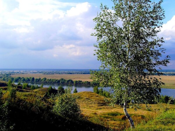 Пейзаж Константиново Родина Есенина