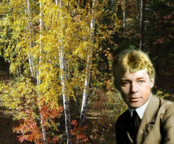 Страна берёзового ситца Есенин