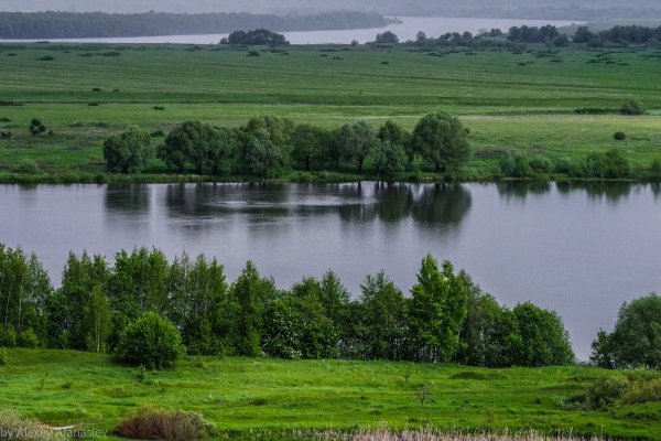 Природа Константиново Рязанской области