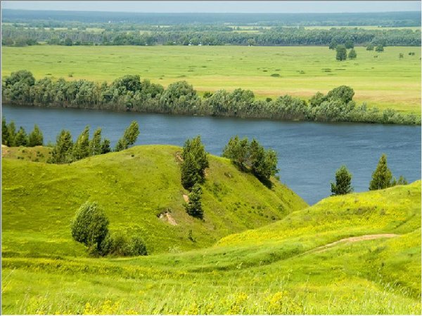 Природа села Константиново Родины Есенина