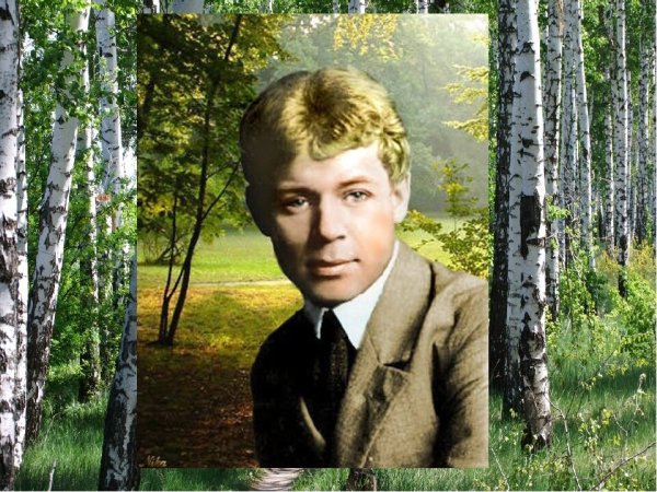 Есенин певец страны березового ситца