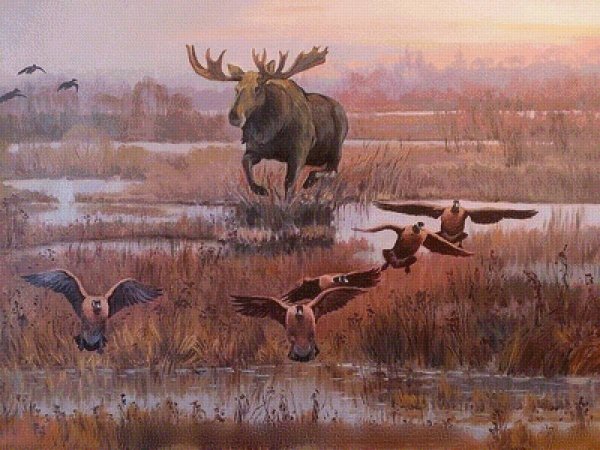 Охотник Джон Паттерсон картины