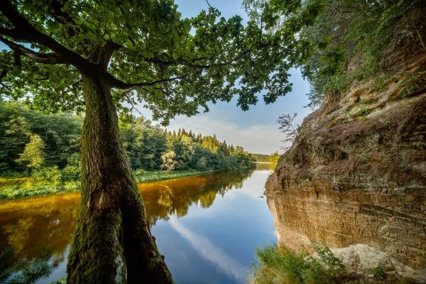 Река Гауя в Латвии