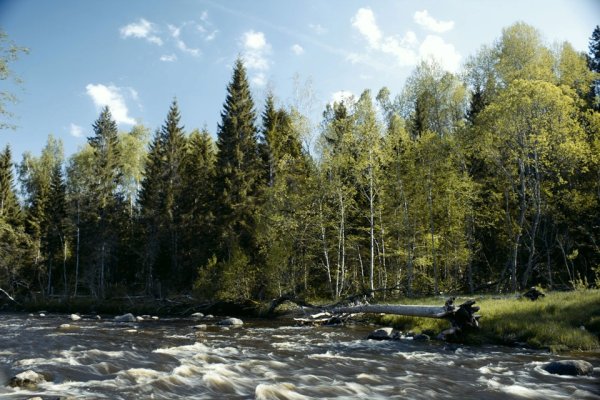 Латвия природа