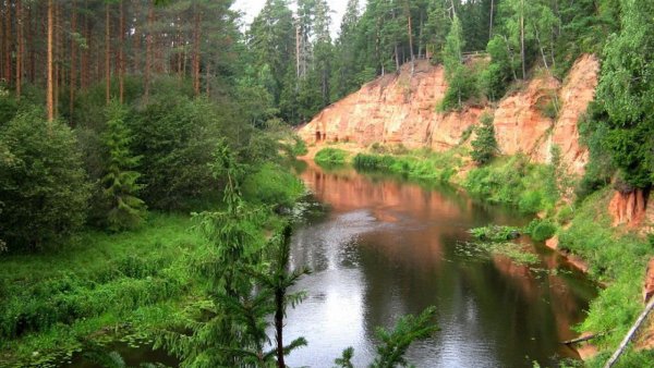 Латвия леса Курземе