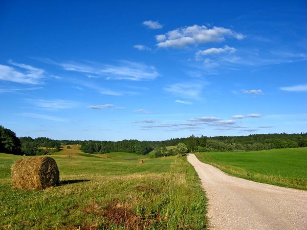 Latvijas daba Латвия