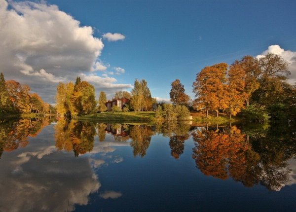 Река Гауя осень