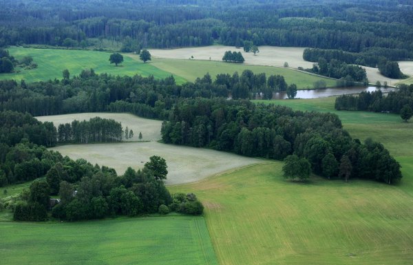 Река Гауя в Латвии