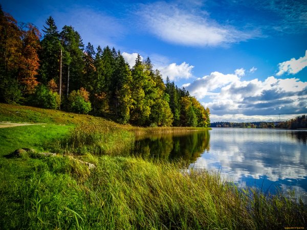 Латвия пейзажи