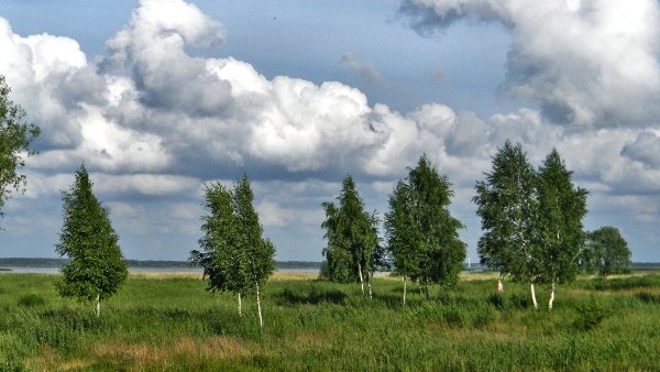 Аугшземская возвышенность Латвия