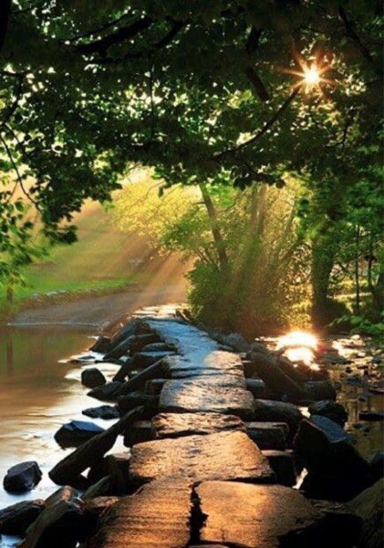 Умиротворяющая природа