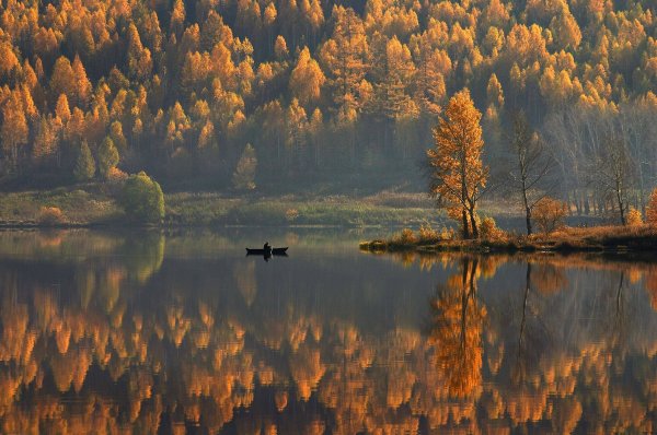 Гармония природы