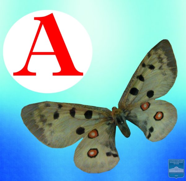 Экологическая Азбука для детей