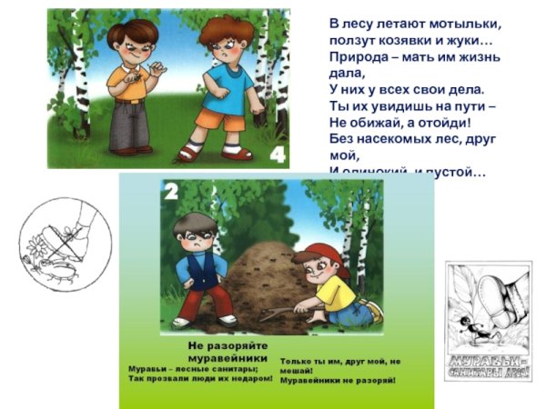 Экологическая Азбука