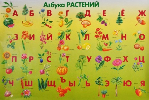 Азбука природы для дошкольников