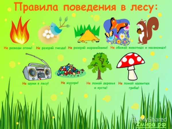 Плакаты для детского сада