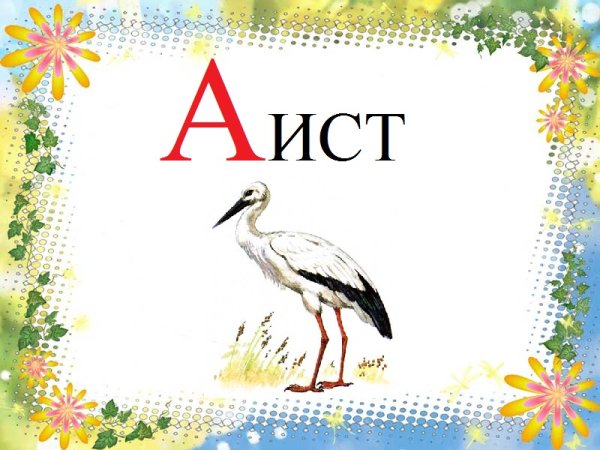 Детям об экологии