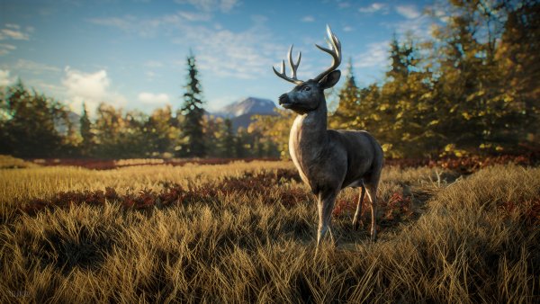 The Hunter Call of the Wild Аляска