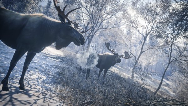 The Hunter Call of the Wild Лось