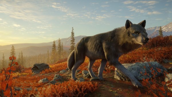 The Hunter Call of the Wild Юкон