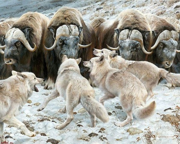 The Call of the Wild фильм 2020