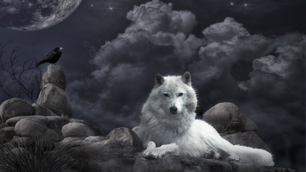 Фэнтези животные