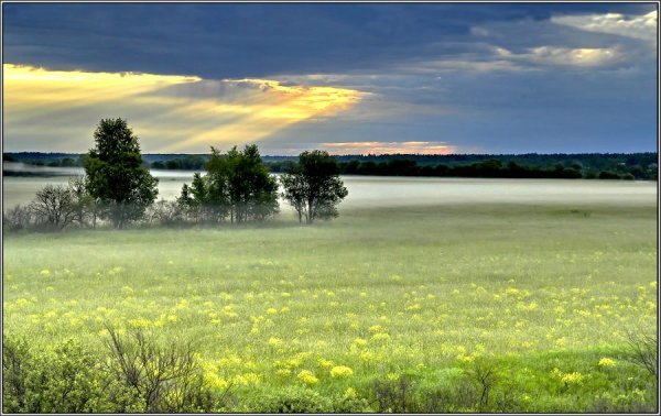 Мирная природа
