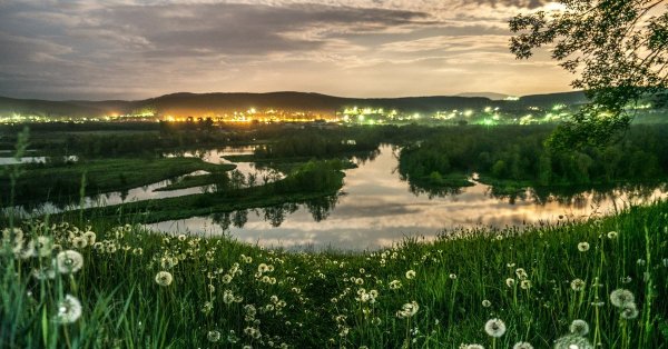 Мир природы