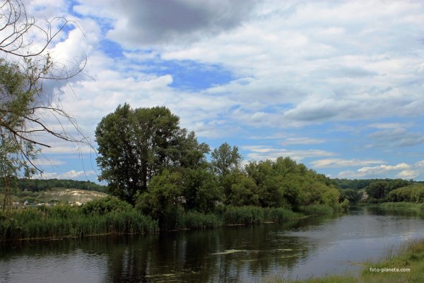 Река Нежеголь Белгородская