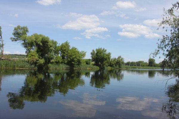 Река Нежеголь Белгородская область