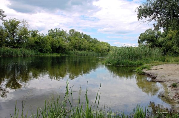 Село Нежеголь Шебекинского района