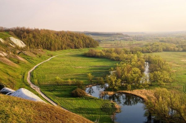 Крапивенское Городище Белгородская область