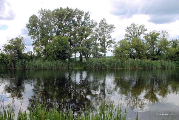 Село Нежеголь Шебекинского района Белгородской области