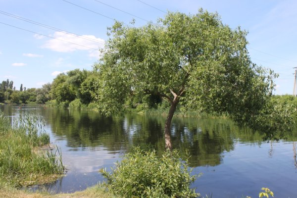 Село Нежеголь Шебекинского района