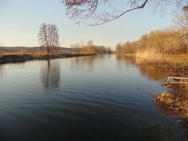 Река Нежеголь Белгородская область