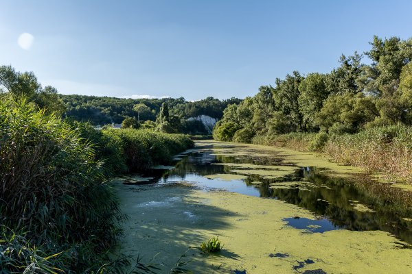 Бекарюковский Бор Белгородская область