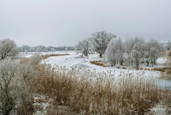 Дмитриевское Городище Белгородская