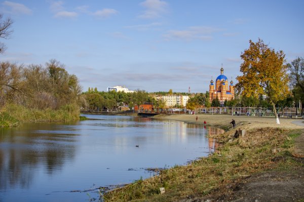 Сосновый парк Шебекино