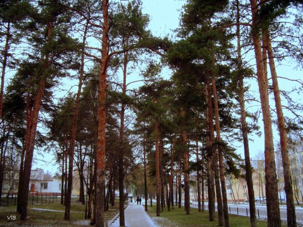 Меловые горы Белгород