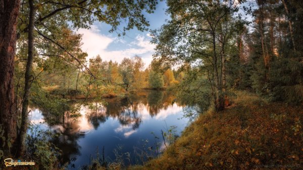 Зеркало природы картинки