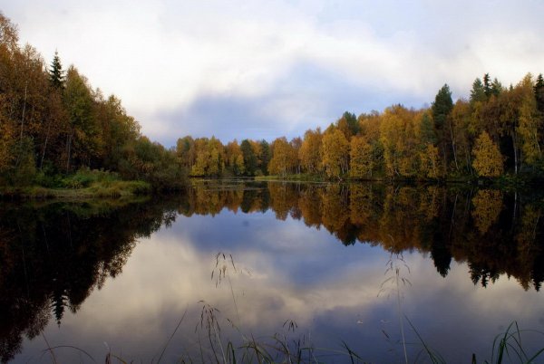 Зеркало природы картинки